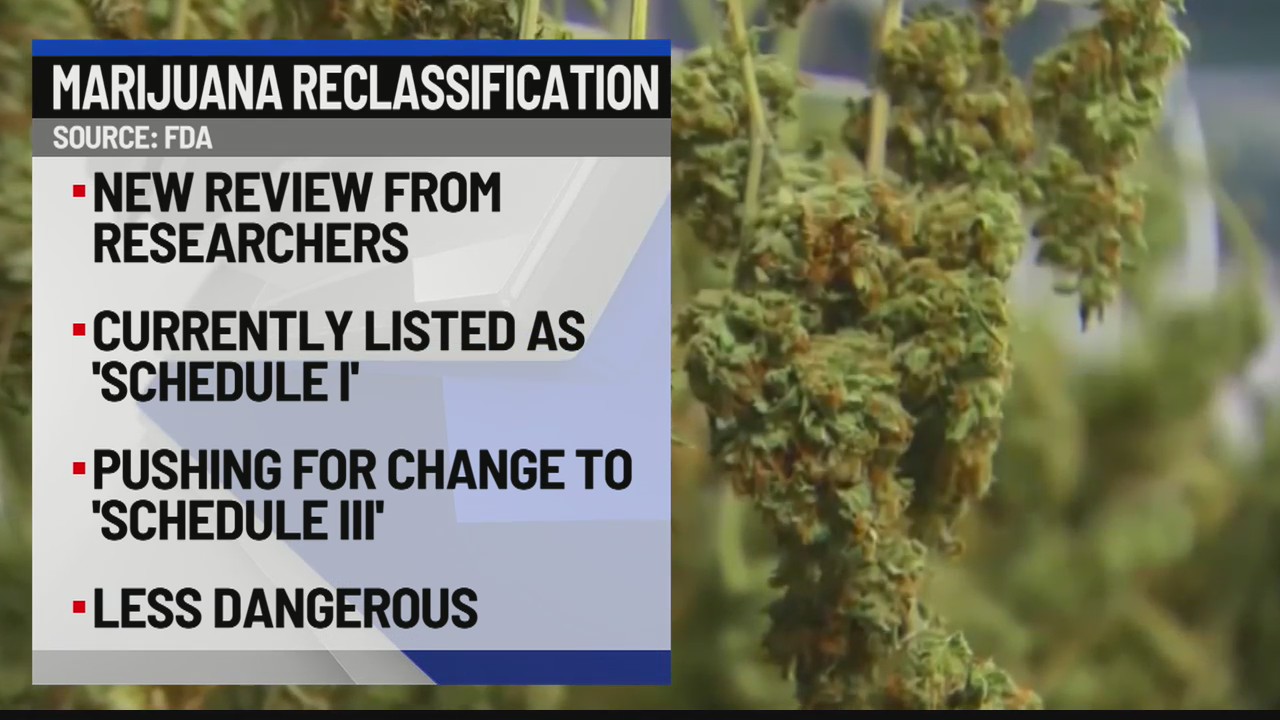 Marijuana Reclassification News10 Abc