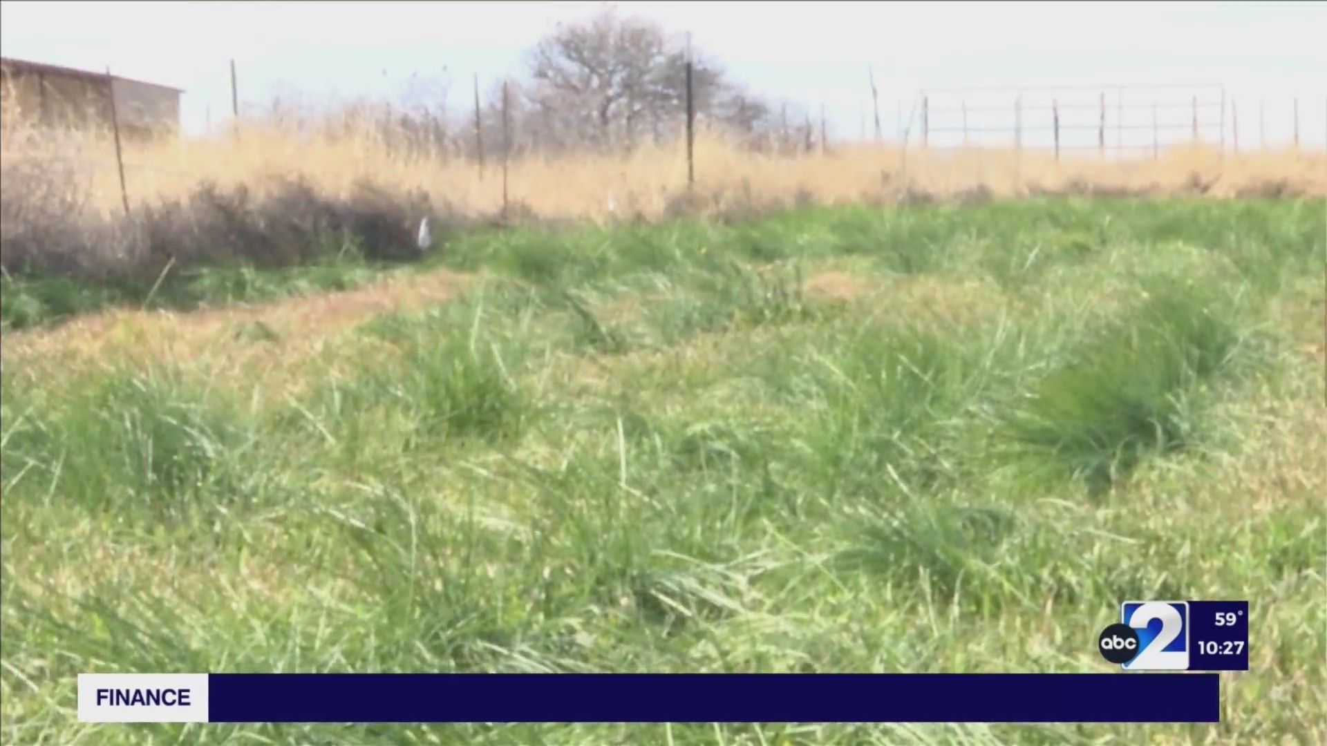 West Texas farm grows the most expensive spice in the world! Meet the family behind Meraki