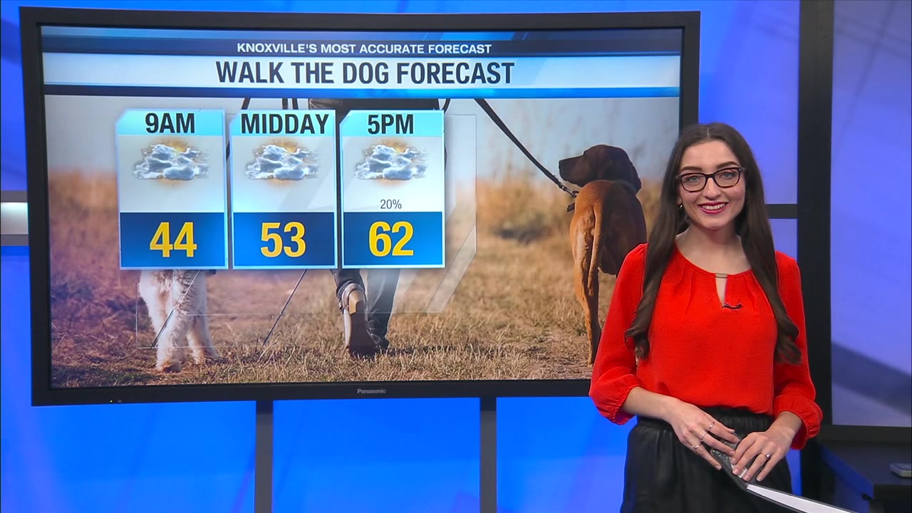 Mostly cloudy with a stray shower today – WATE 6 On Your Side
