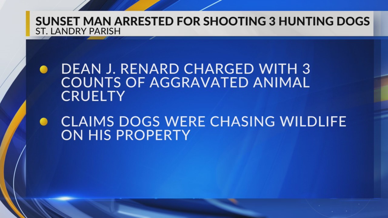 Sunset man arrested, charged with shooting 3 hunting dogs – KLFY.com