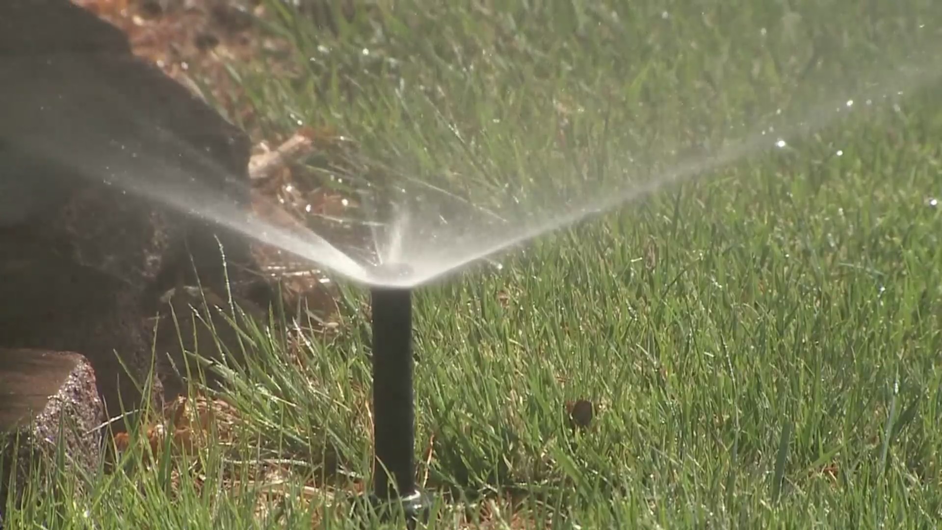 When should you start your sprinklers? FOX31 Denver