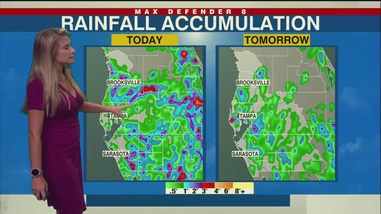 Widespread showers and thunderstorms this weekend – WFLA