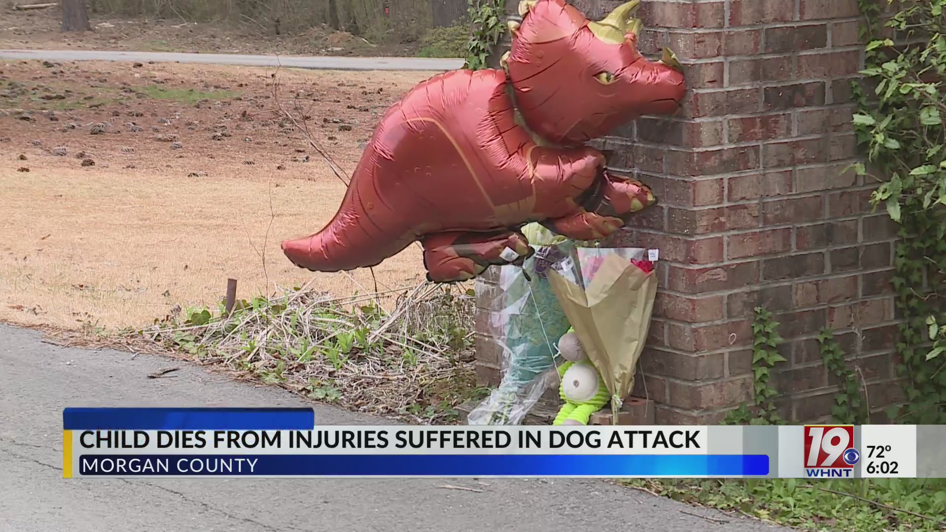 Child Dies From Injuries Suffered in Dog Attack | Feb. 27, 2024 | News ...