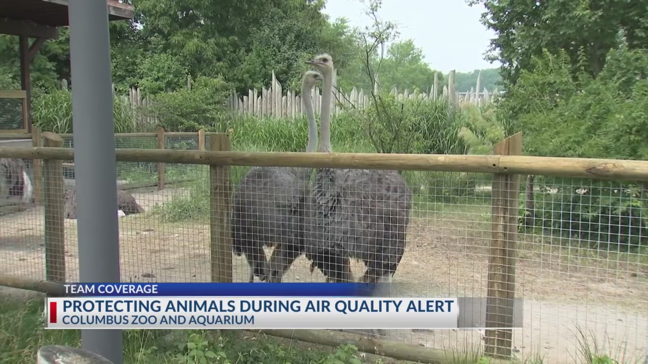 Columbus Zoo taking extra steps to protect animals during air quality