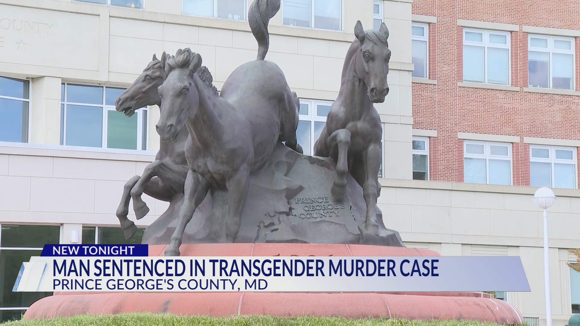 Man sentenced to 48 years in prison for murdering transgender woman ...