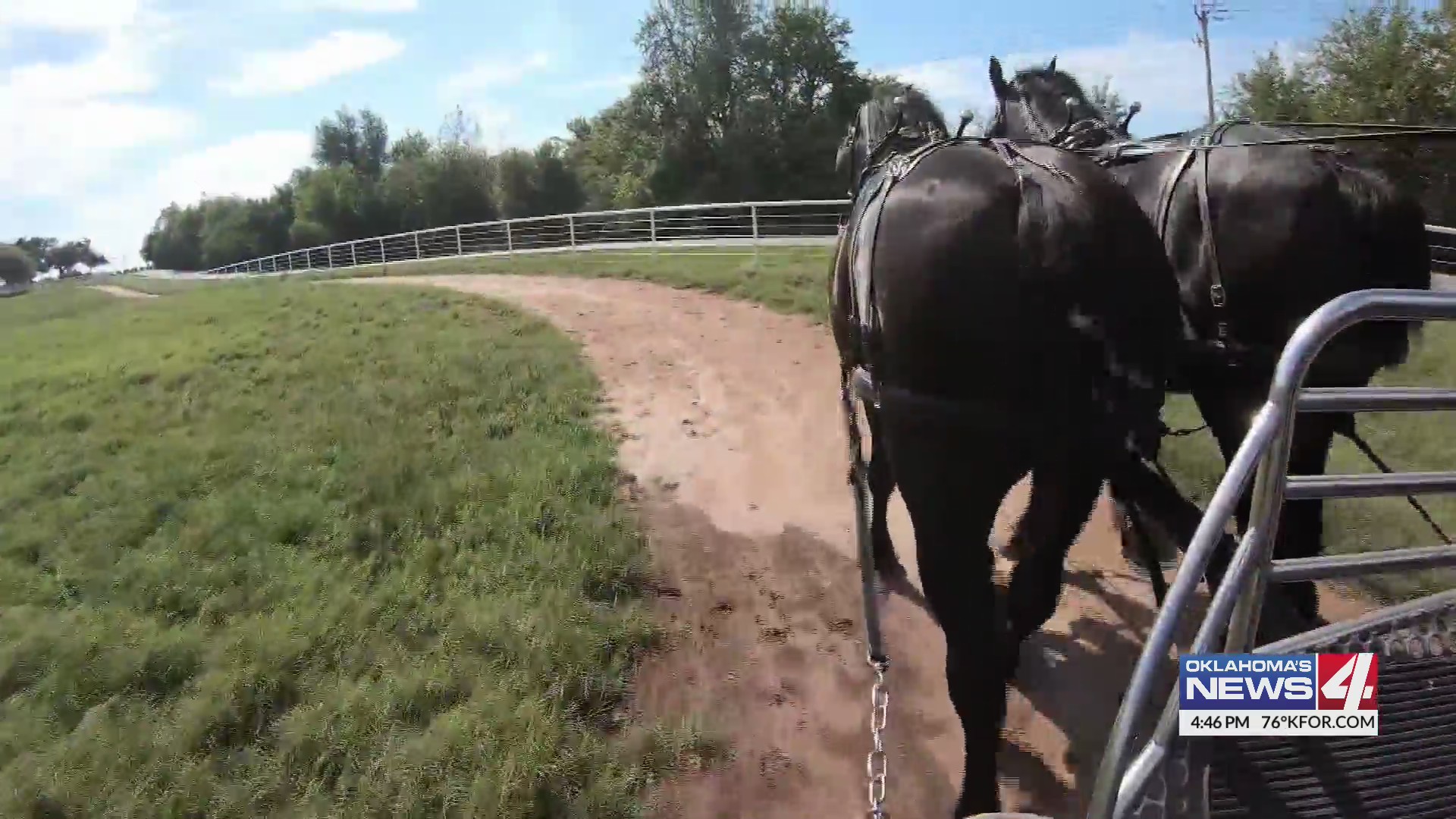 express-ranch-clydesdale-state-fair-activities-kfor-oklahoma-city