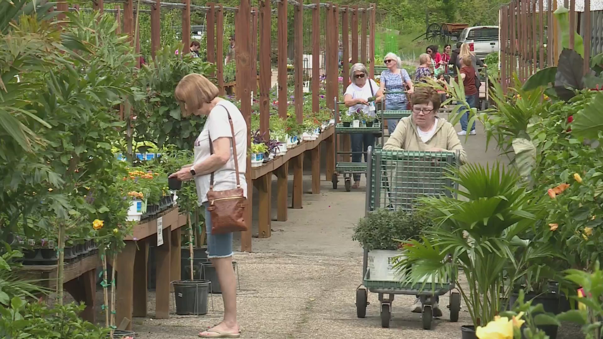 Big crowds flock to local nurseries for spring planting FOX 2