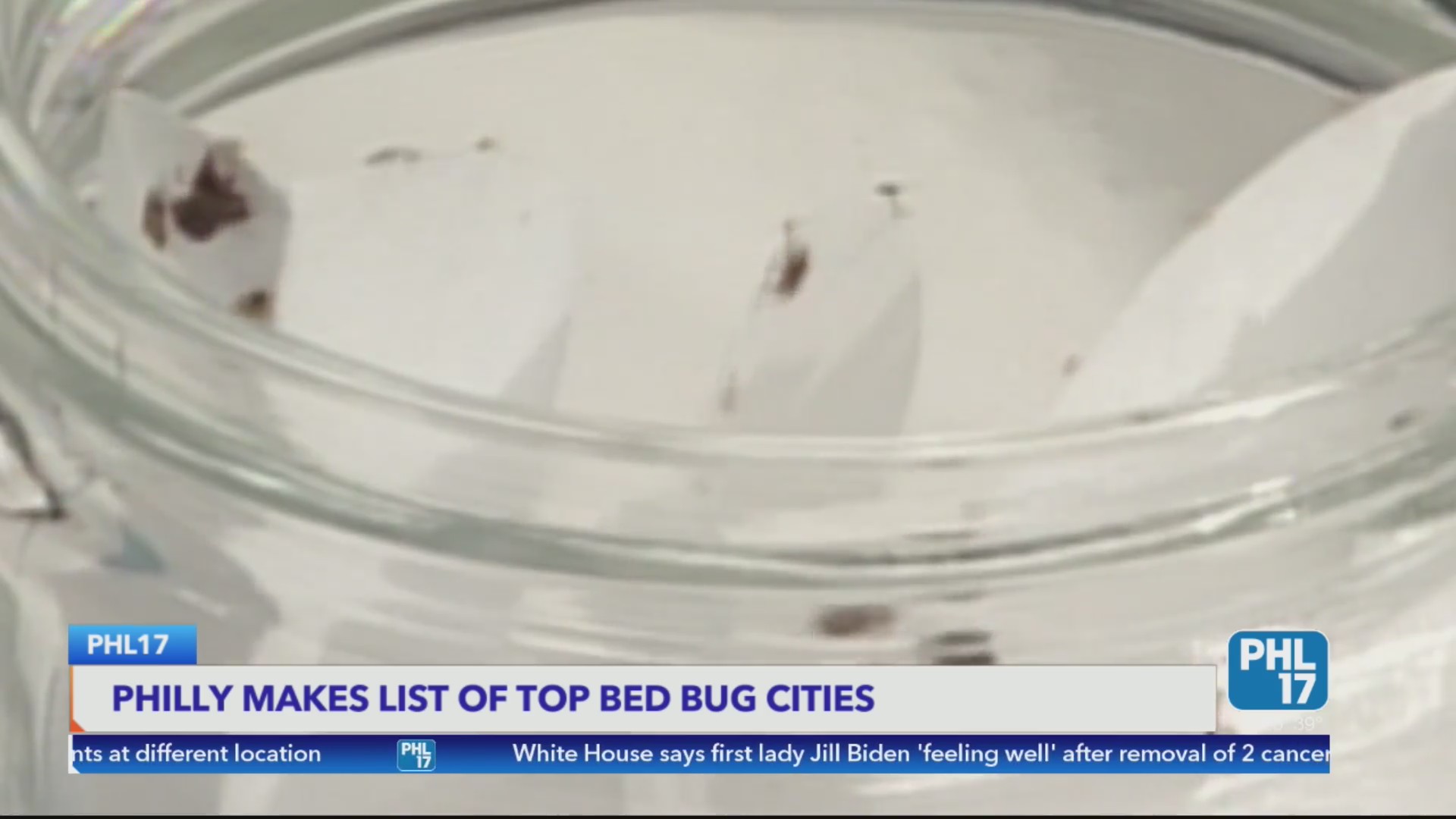 Philly ranks 3 for cities with the most bed bugs