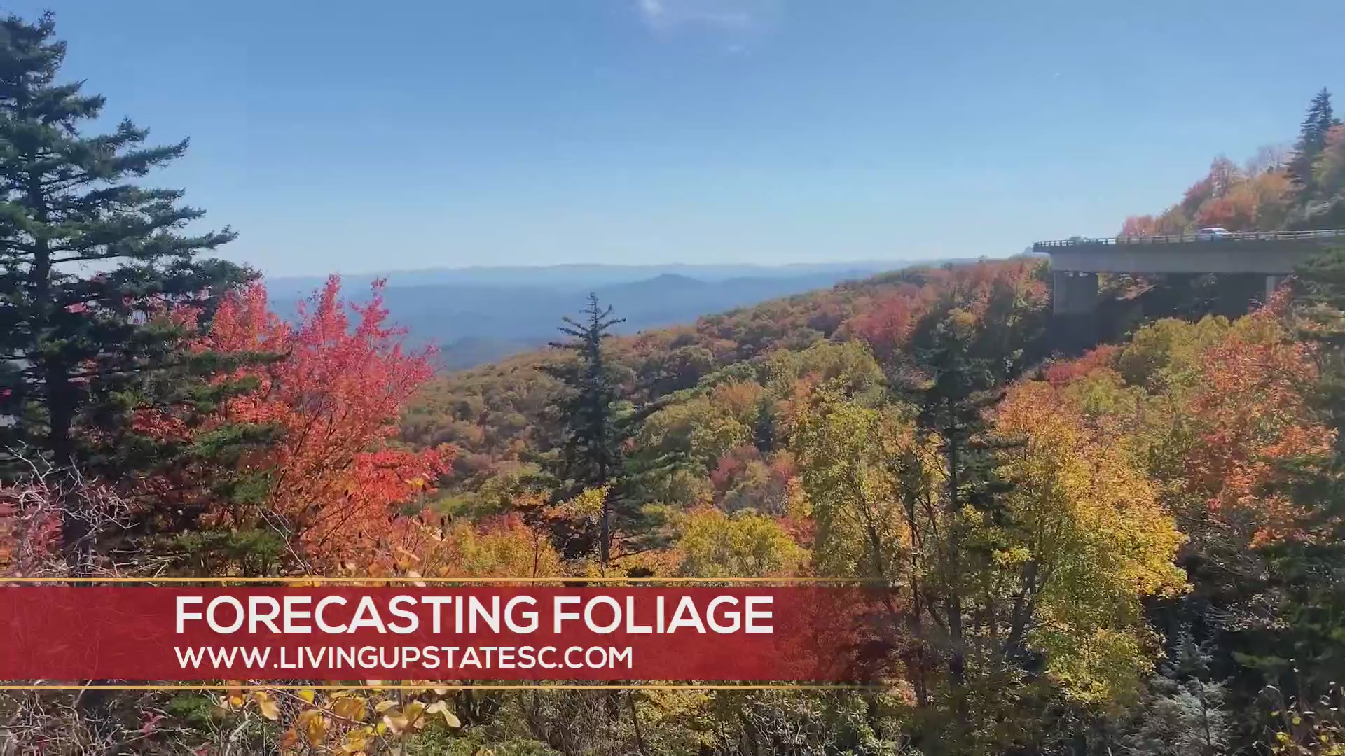 Fall Color Guy gives foliage forecast – WSPA 7NEWS