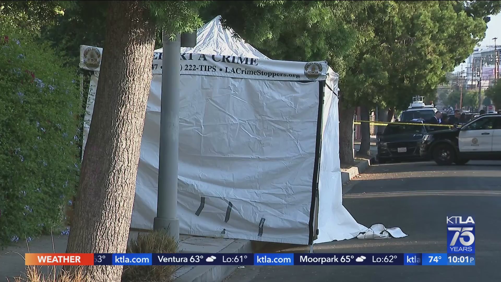 1 killed in shooting outside Hollywood cannabis event – KTLA