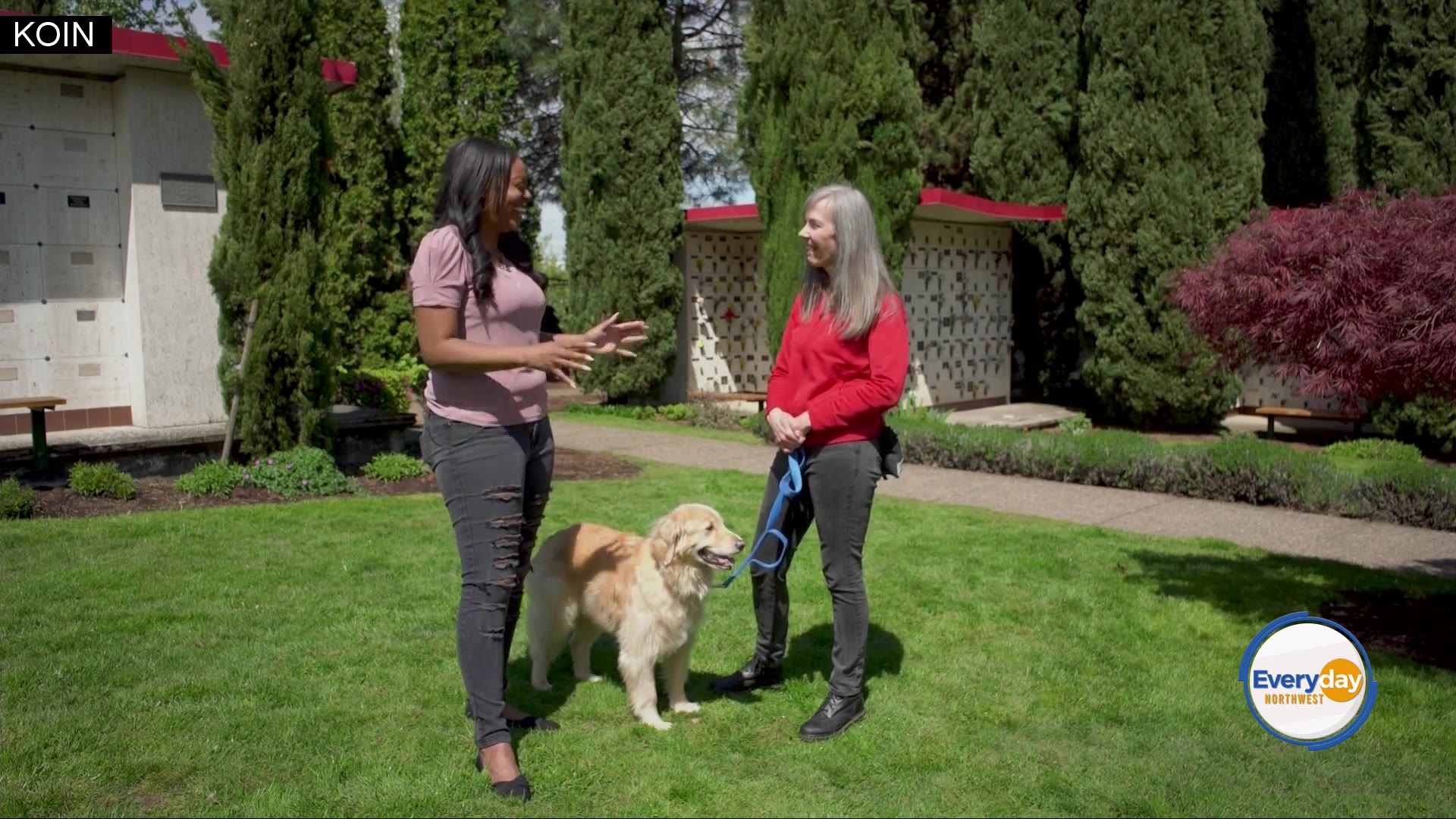 Pet Behavior Training Programs