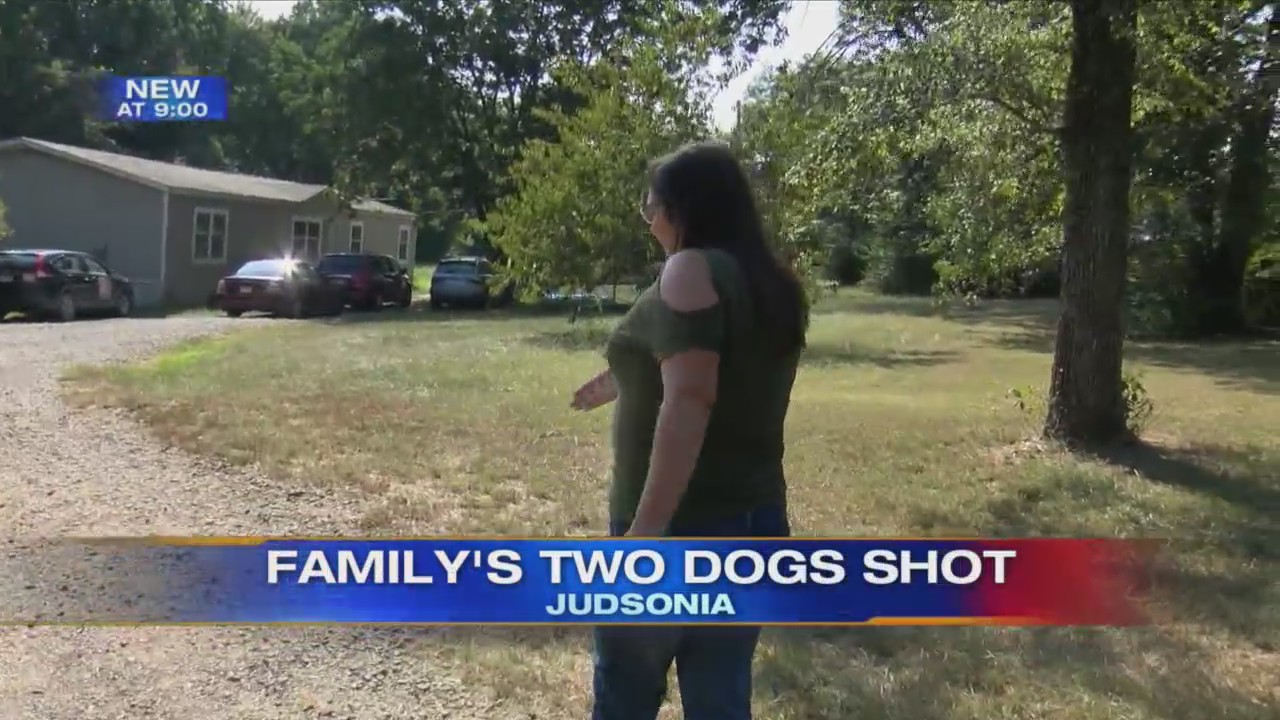 Family says Judsonia police officer shot and killed their 2 dogs in