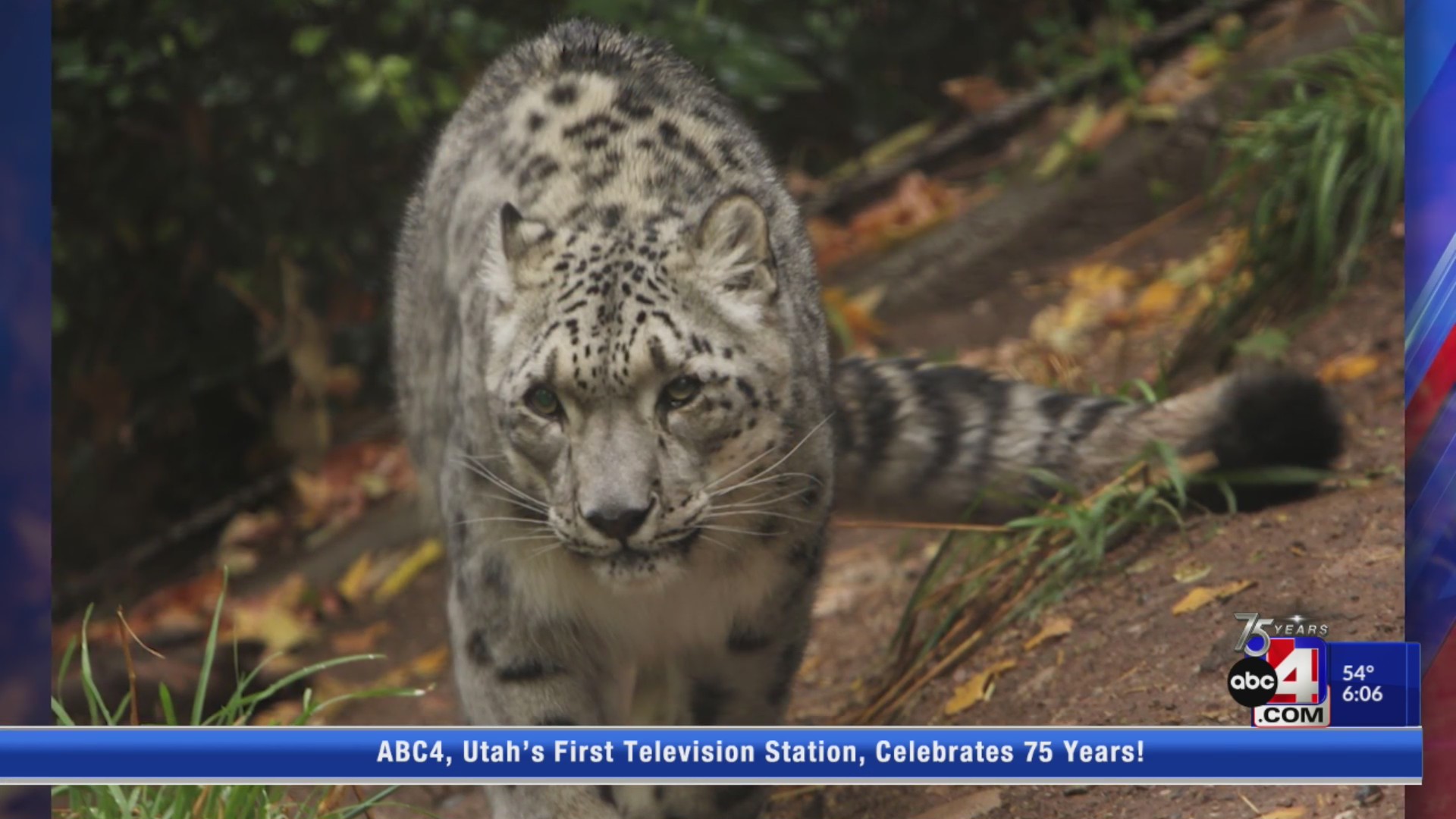 Daytime tickets for Hogle Zoo going for 5 ABC4 Utah