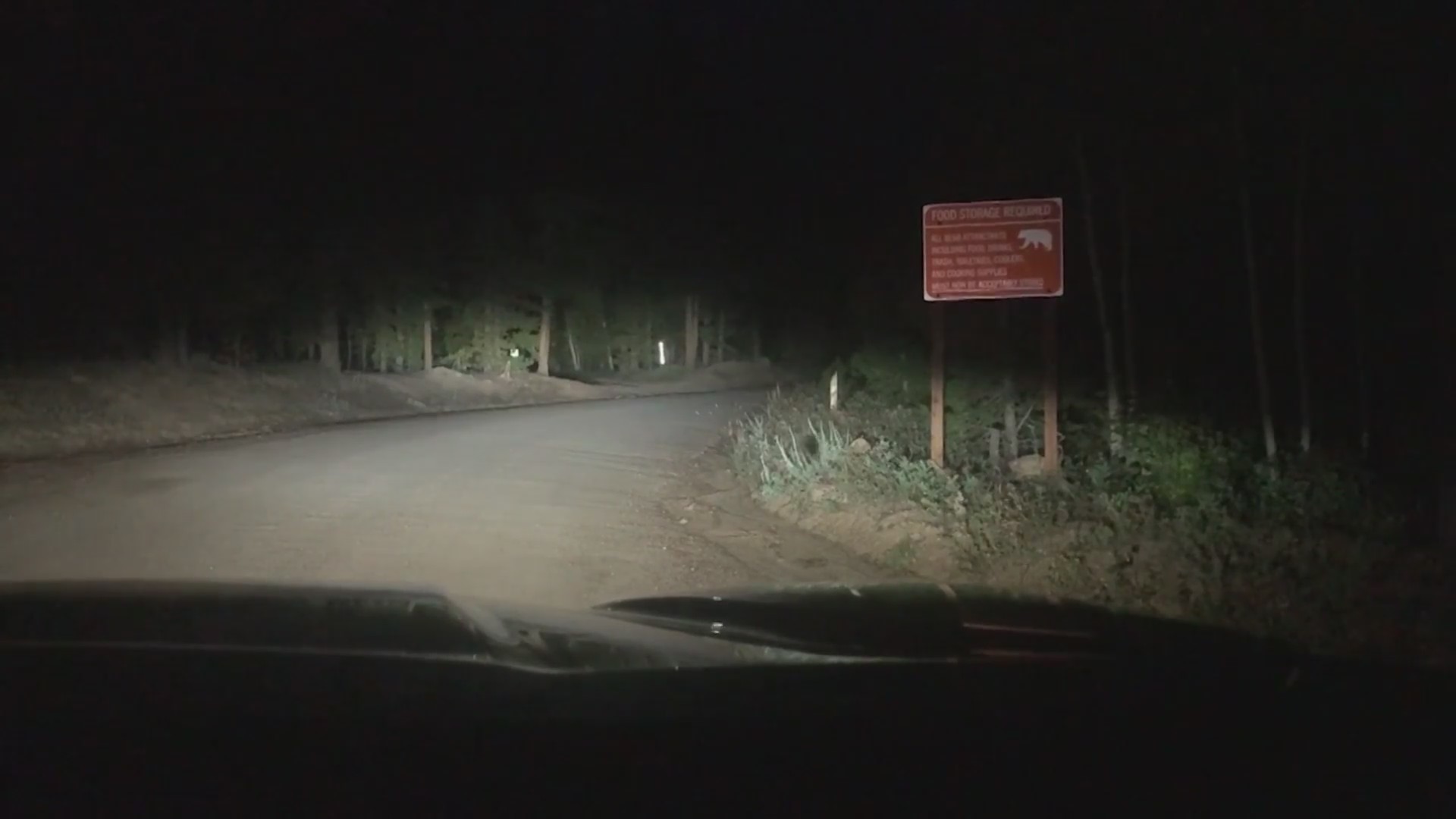 Moose attacks woman walking dog on Boulder County trail – PIX11