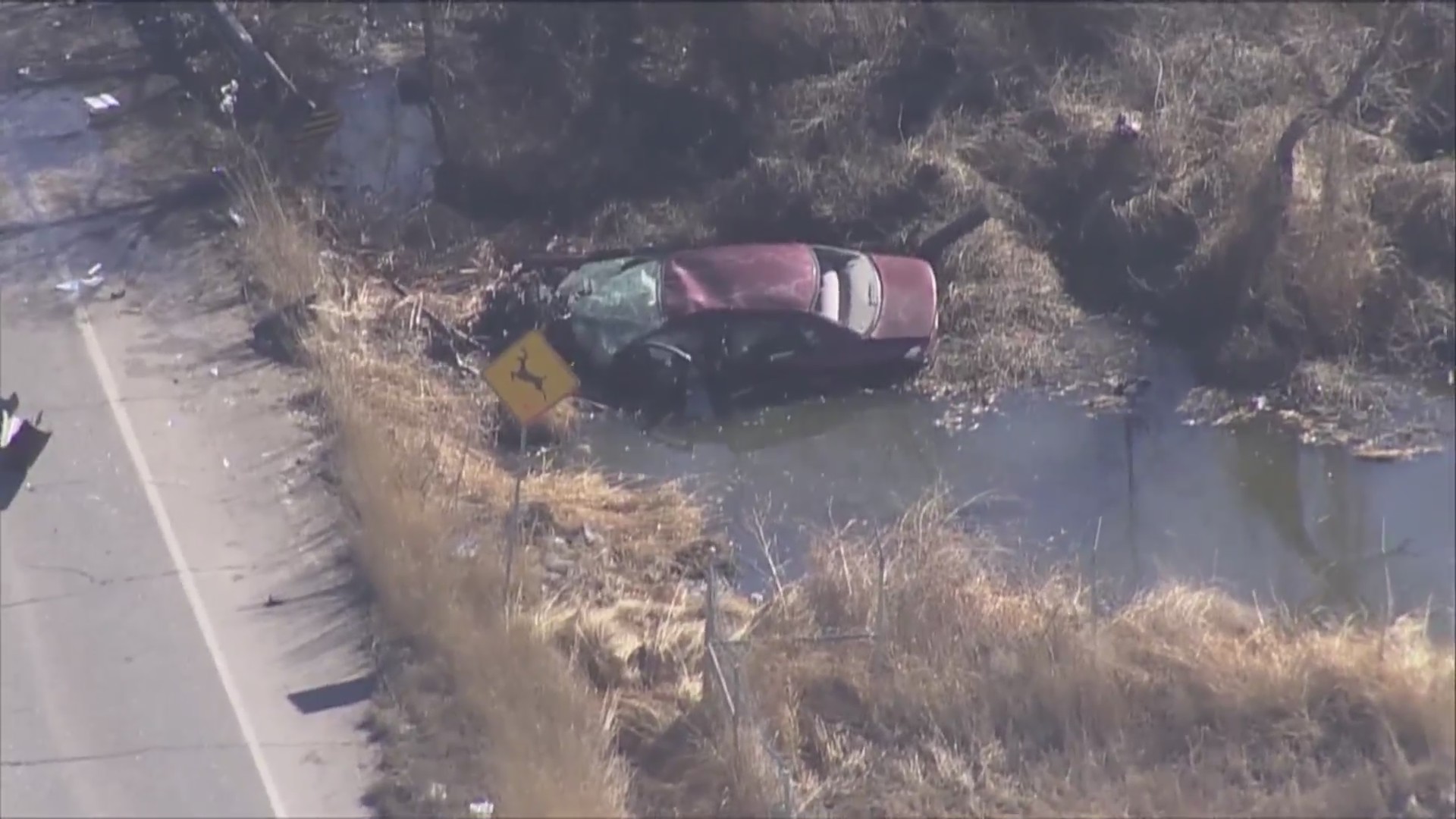 14-year-old driver, 5 more hurt in Commerce City crash – FOX31 Denver