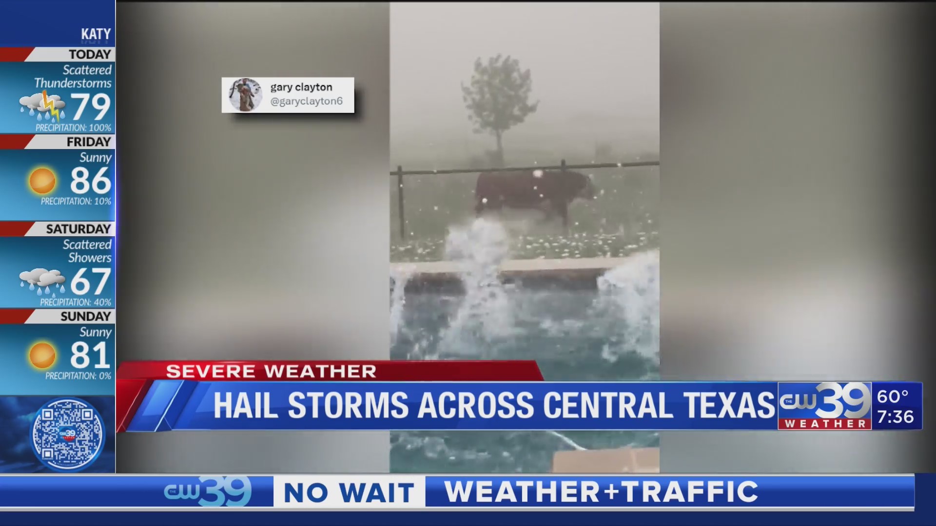 Bull caught in hail storm in north Texas – Adam Krueger tells us where ...