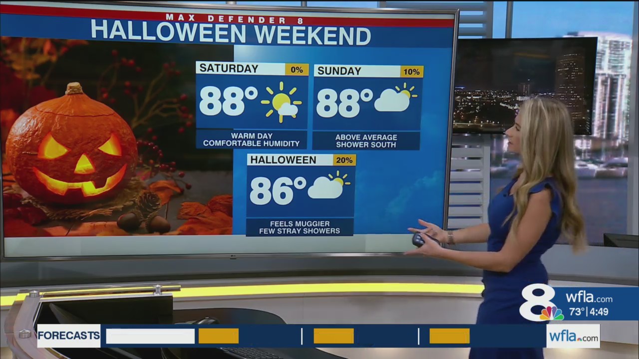 Warm, mostly sunny and dry through the weekend – WFLA