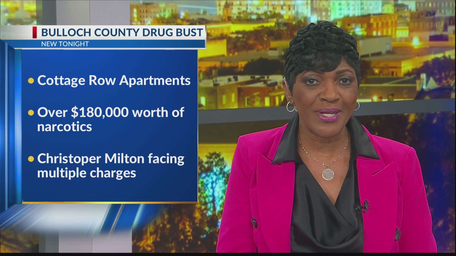 1 arrested, drugs and guns seized in Bulloch County bust – WSAV-TV