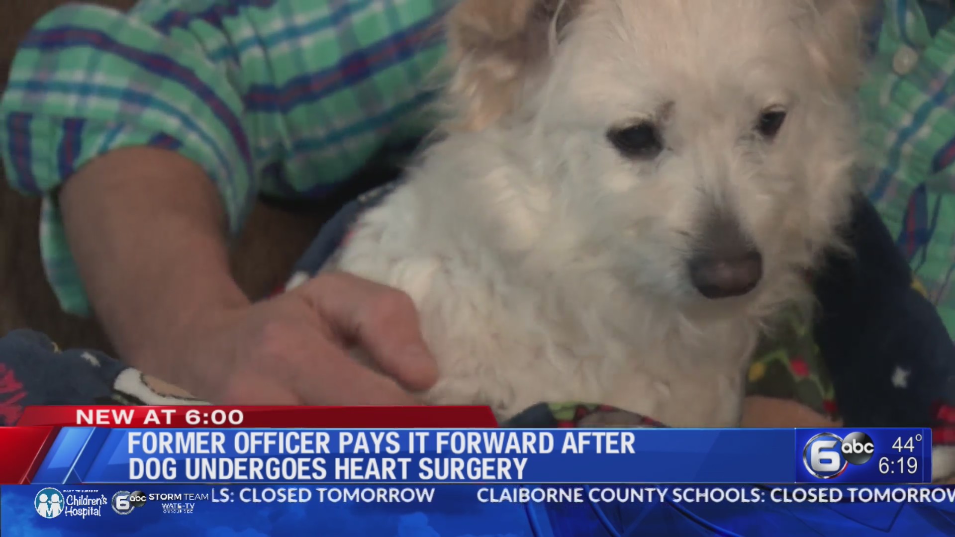 Former officer pays it forward after dog undergoes heart surgery – WATE ...