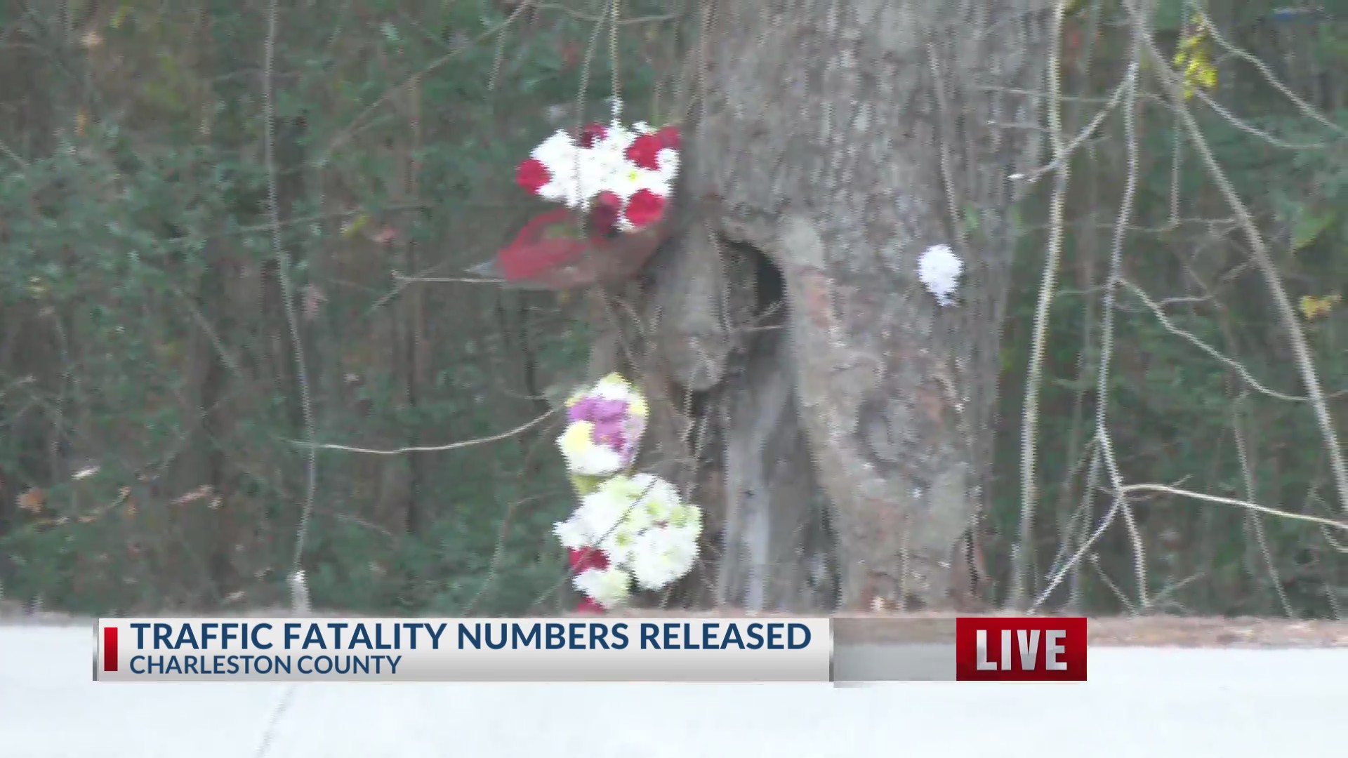 Charleston PD saw increase in deadly crashes in 2023 – WCBD News 2