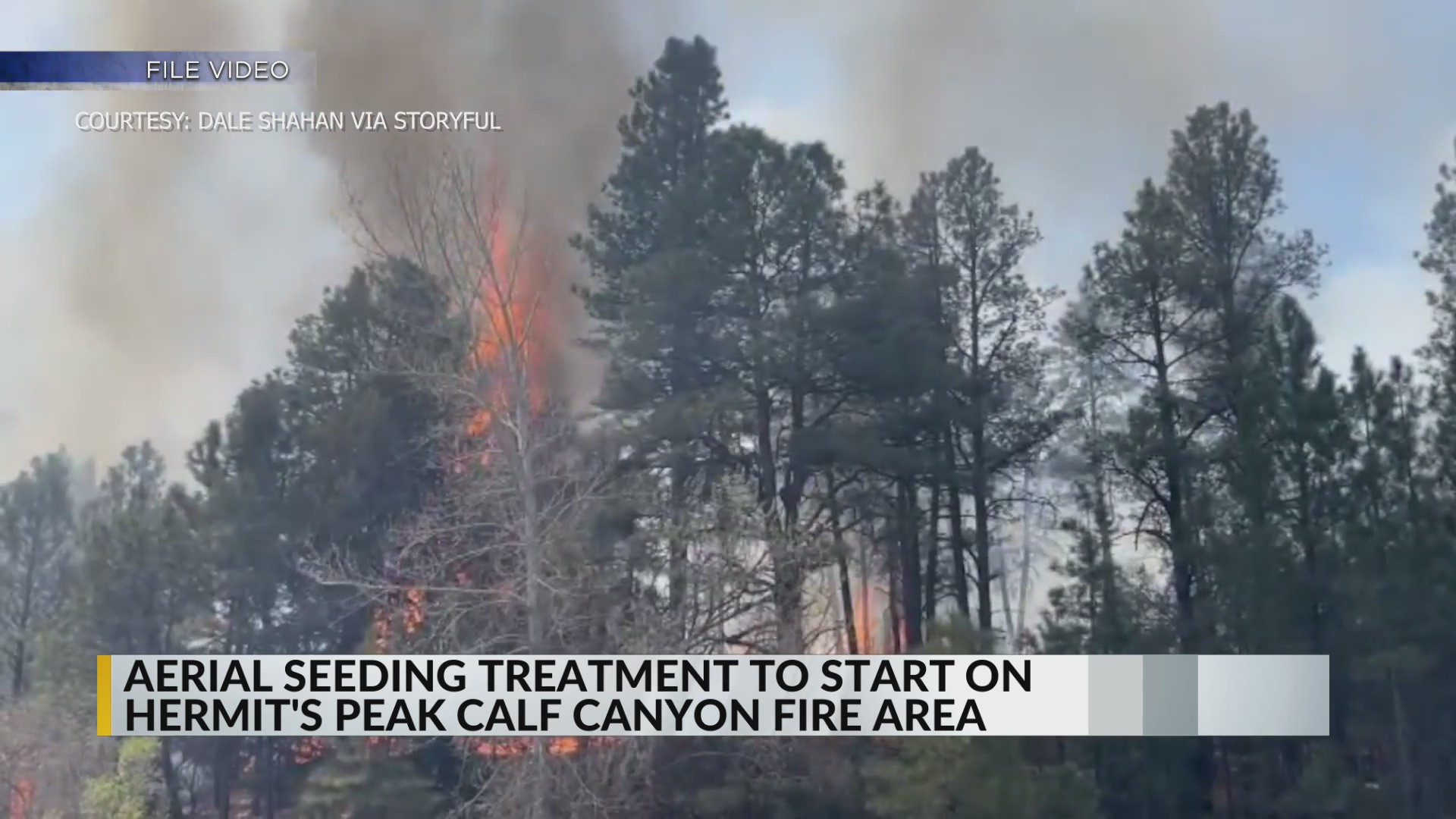 Aerial seeding begins on Hermits PeakCalf Canyon burn scar KRQE NEWS