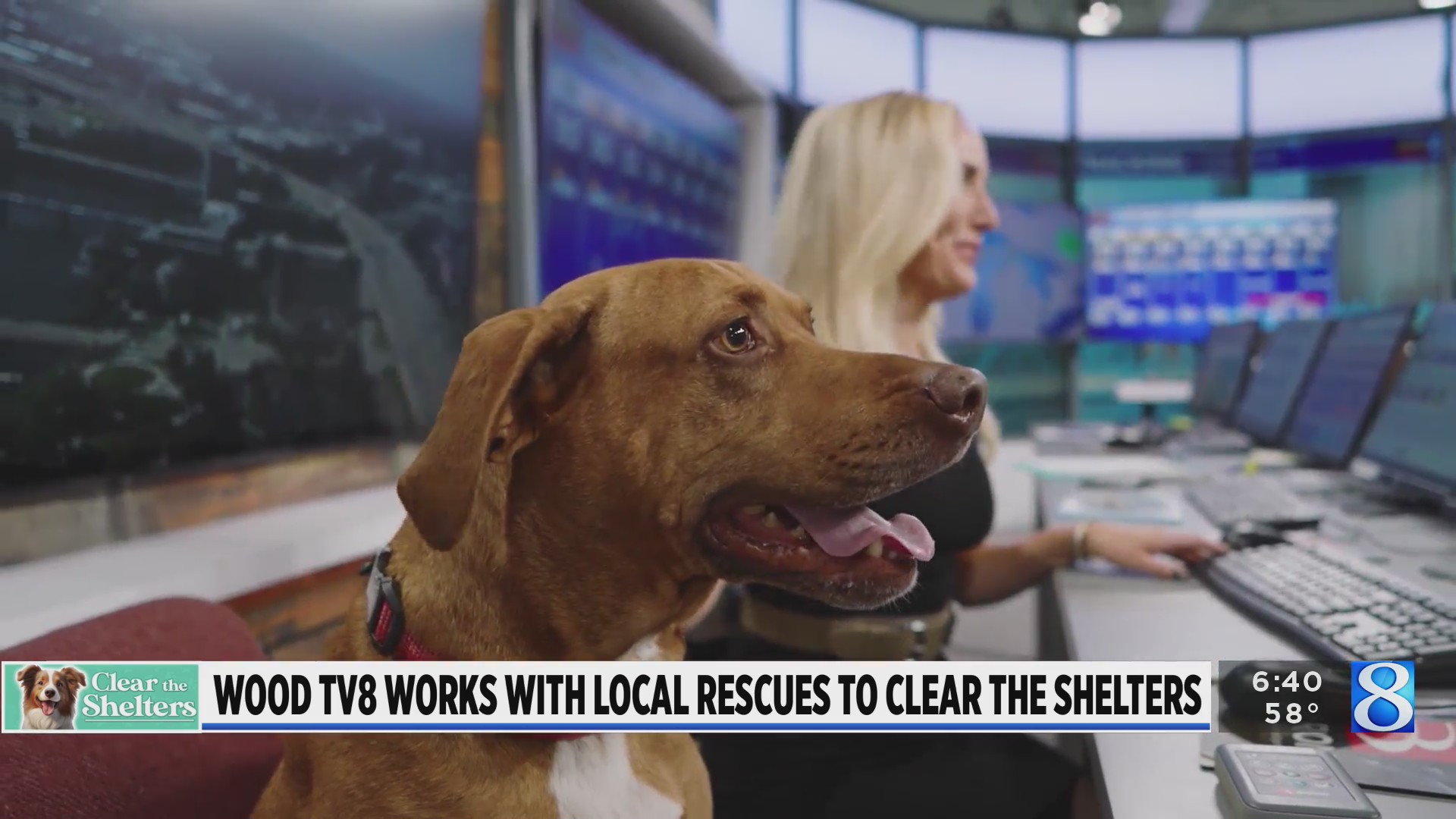 WOOD TV8 works with local rescues to clear the shelters