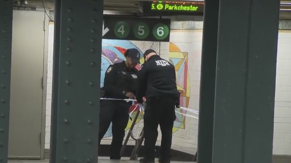 Man fatally pushed onto subway tracks in East Harlem: NYPD – PIX11