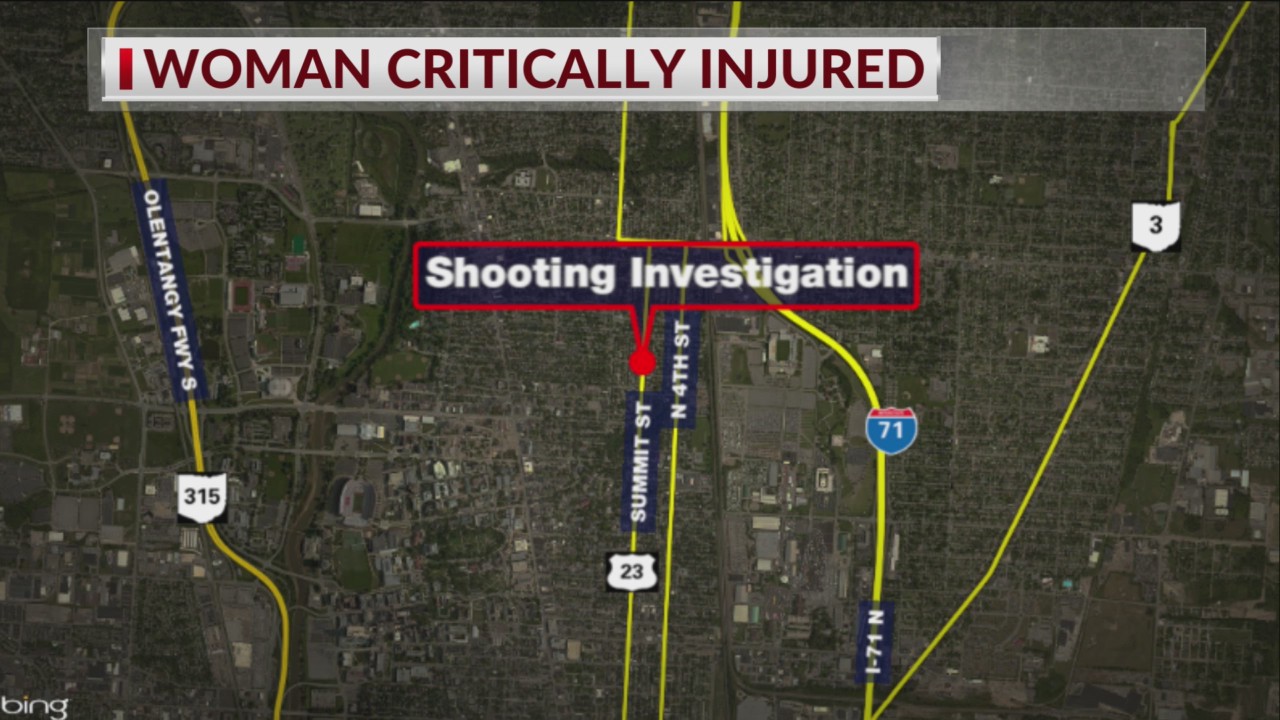 Police: Woman shot after dog hit by car in north Columbus – NBC4 WCMH-TV