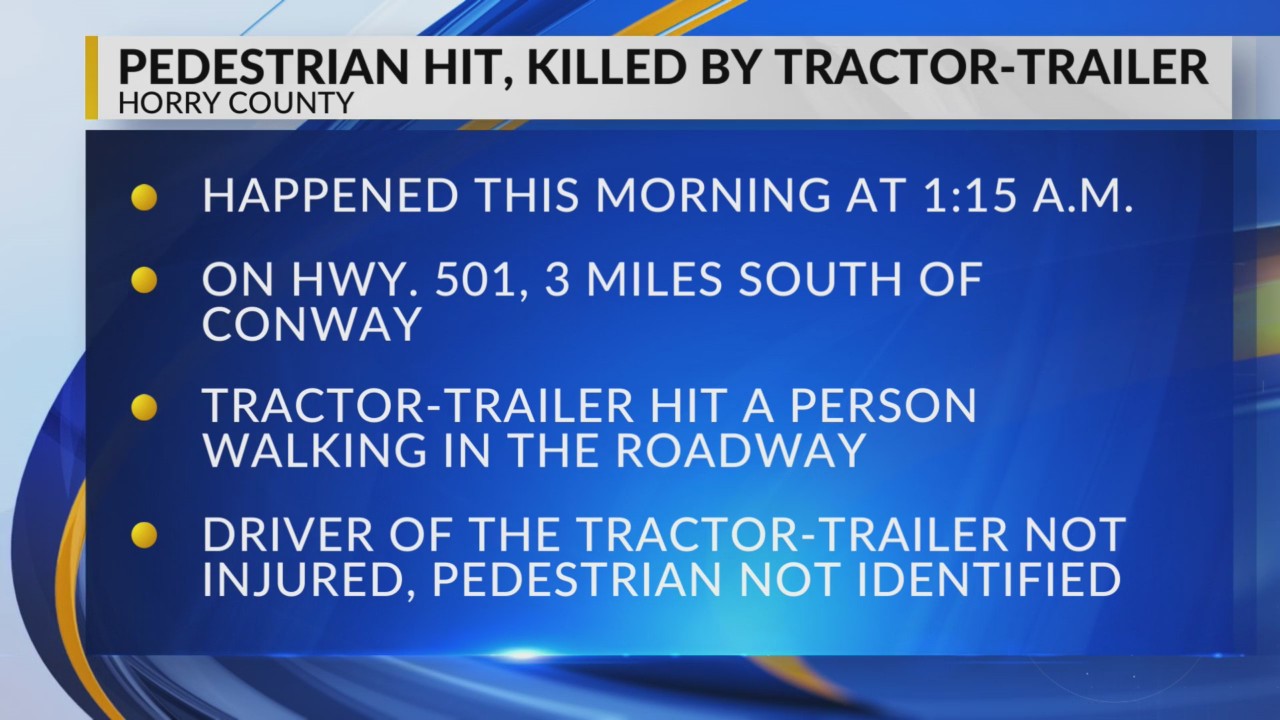 Pedestrian hit, killed by tractor-trailer on Highway 501 near Conway ...