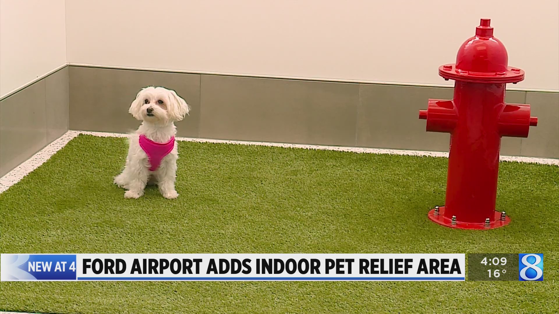 Ford Airport adds indoor animal relief area