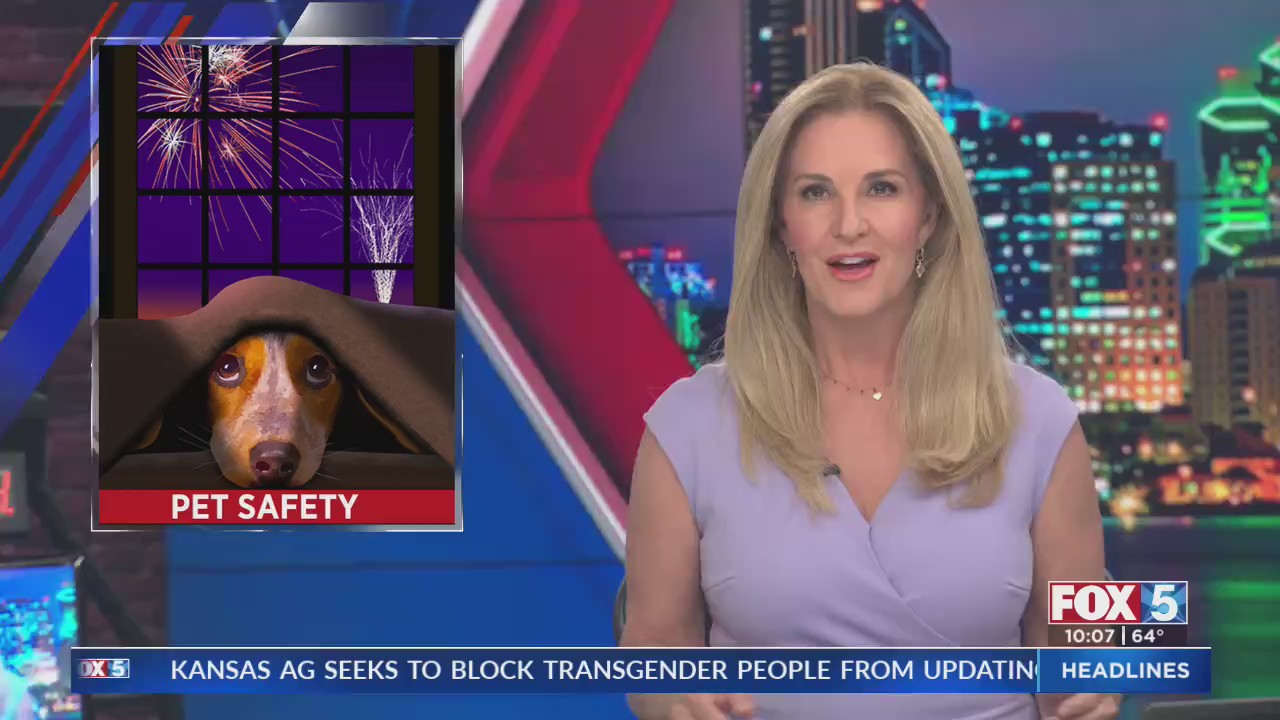 Keeping Pets Safe on 4th of July – FOX 5 San Diego & KUSI News
