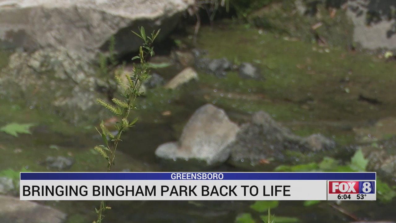 Bringing Greensboro’s Bingham Park back to life FOX8 WGHP