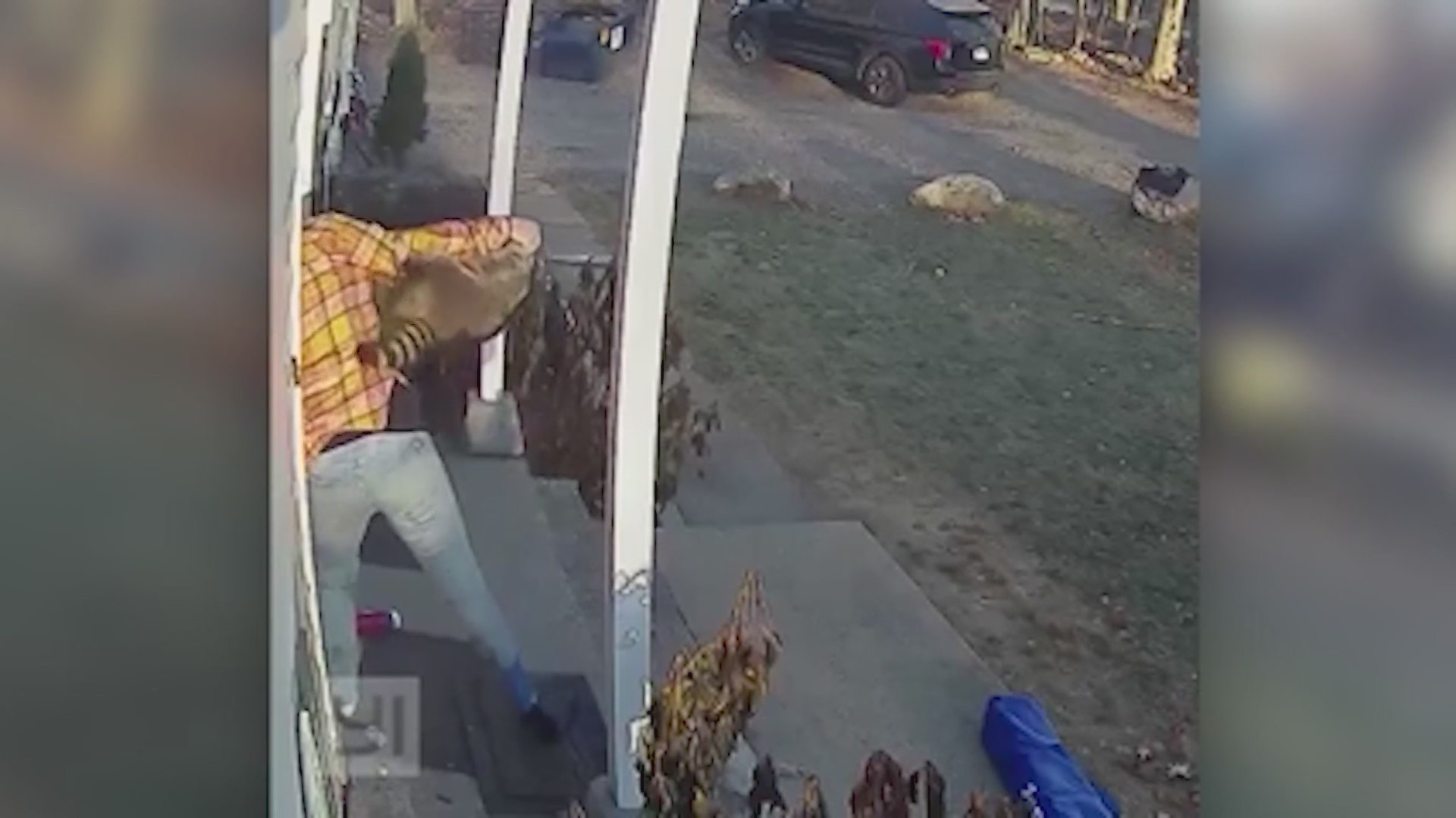 VIDEO: Vicious raccoon attacks little girl at doorstep, mom saves the