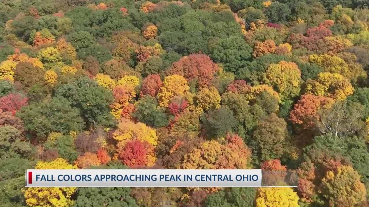 What kind of winter do national forecasters predict for central Ohio