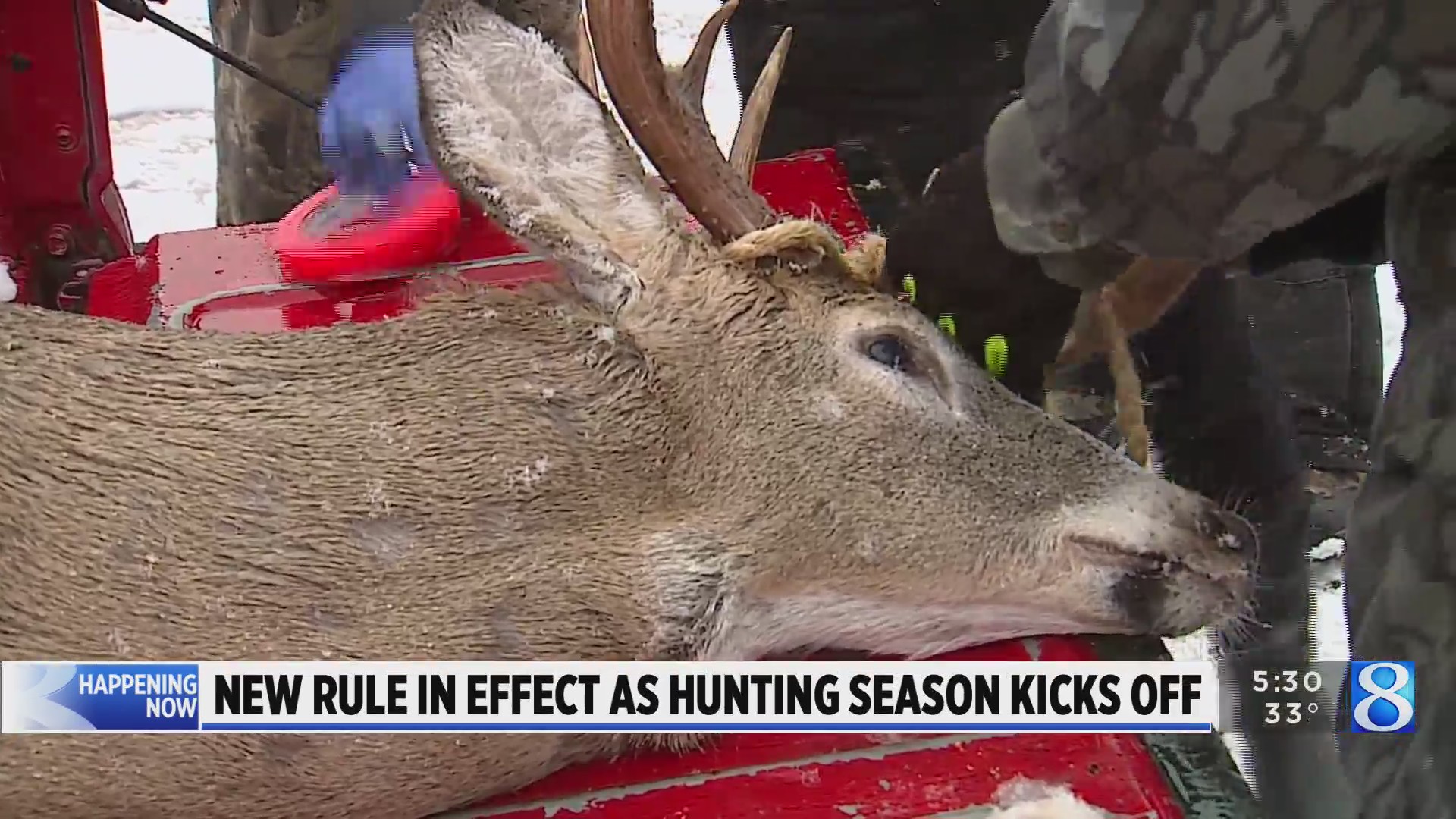 New rule in effect as hunting season kicks off – WOODTV.com