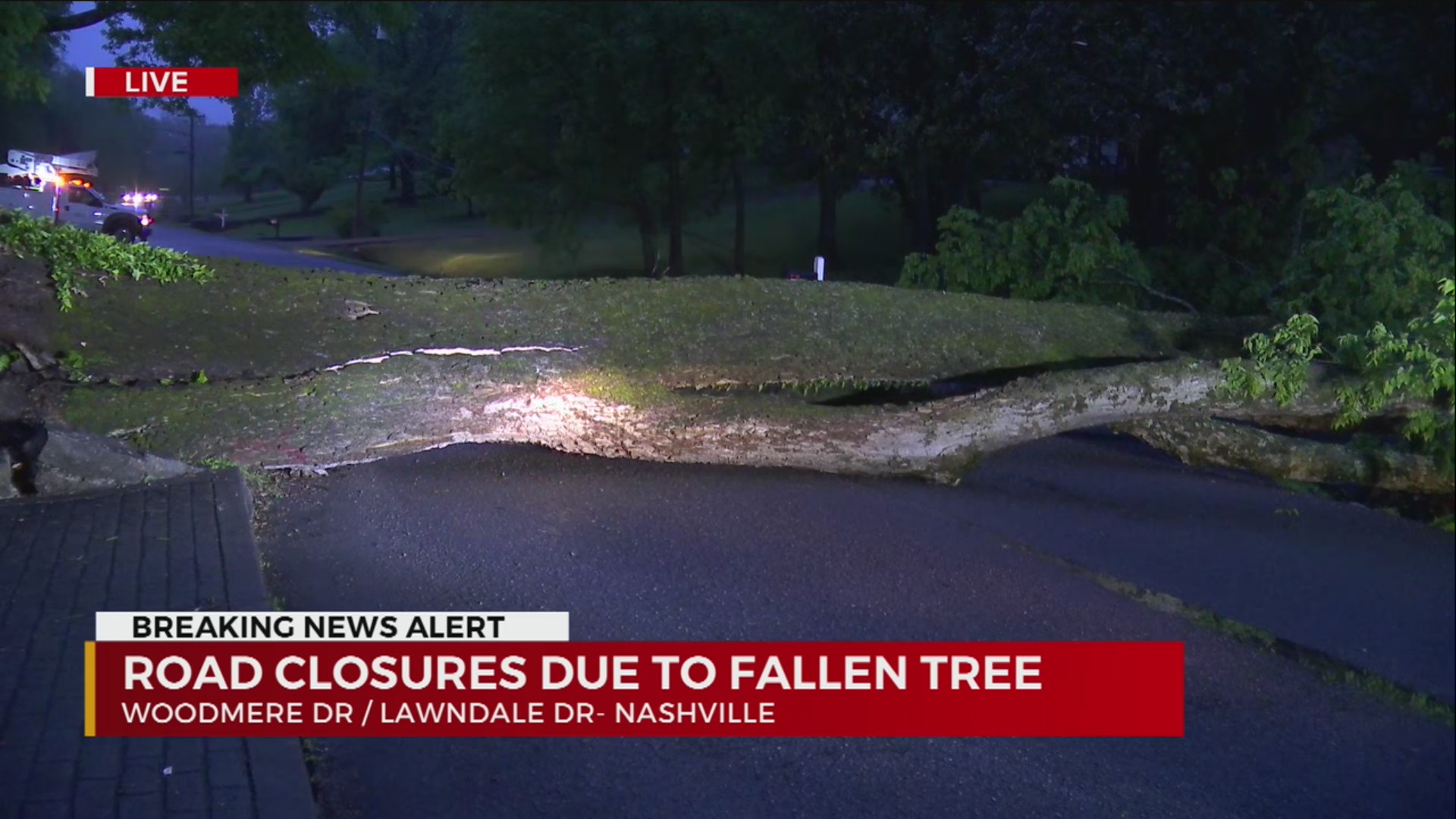 Tree knocks down power lines in South Nashville – WKRN News 2