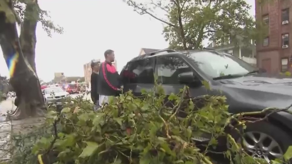 Severe storm topples trees in Brooklyn – PIX11