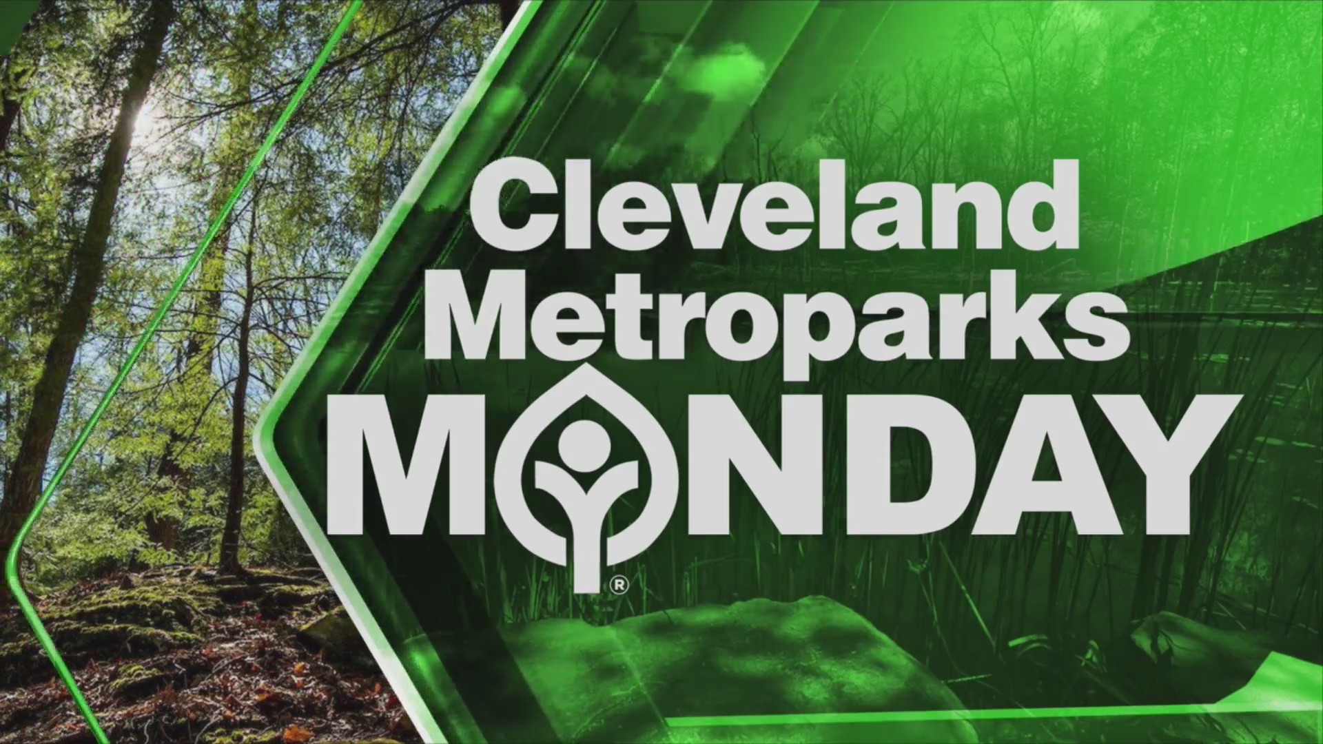 Cleveland Metroparks Monday Summer concert series Fox 8 Cleveland WJW