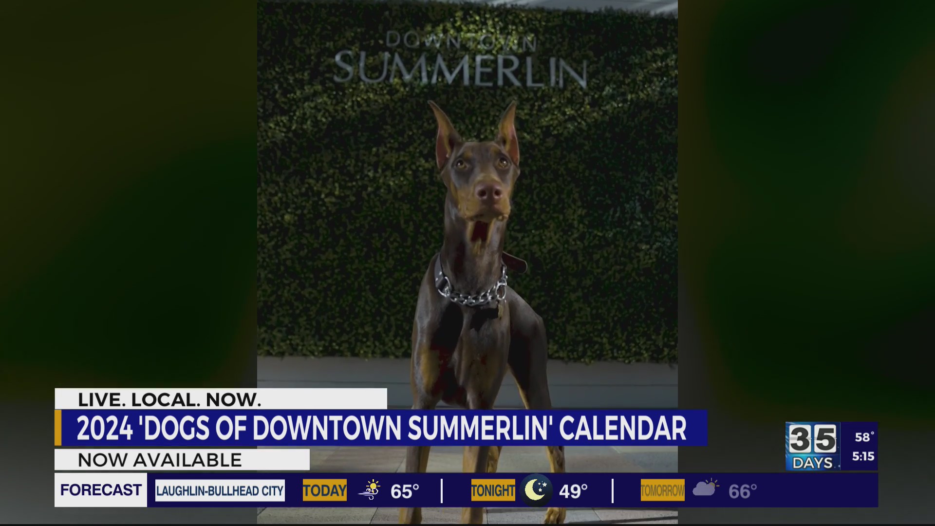 2024 Dogs of Downtown Summerlin calendar available now, proceeds benefit LVMPD K9 KLAS