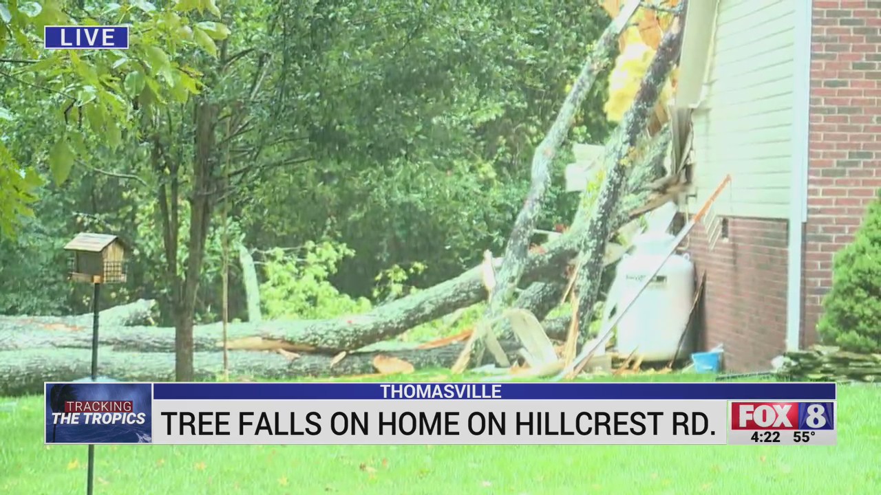 Tree falls on Thomasville home – FOX8 WGHP