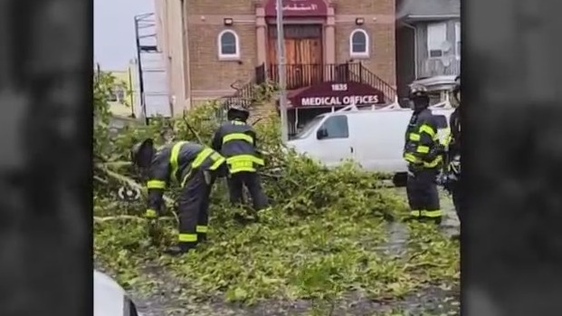 Severe storm topples trees in Brooklyn – PIX11