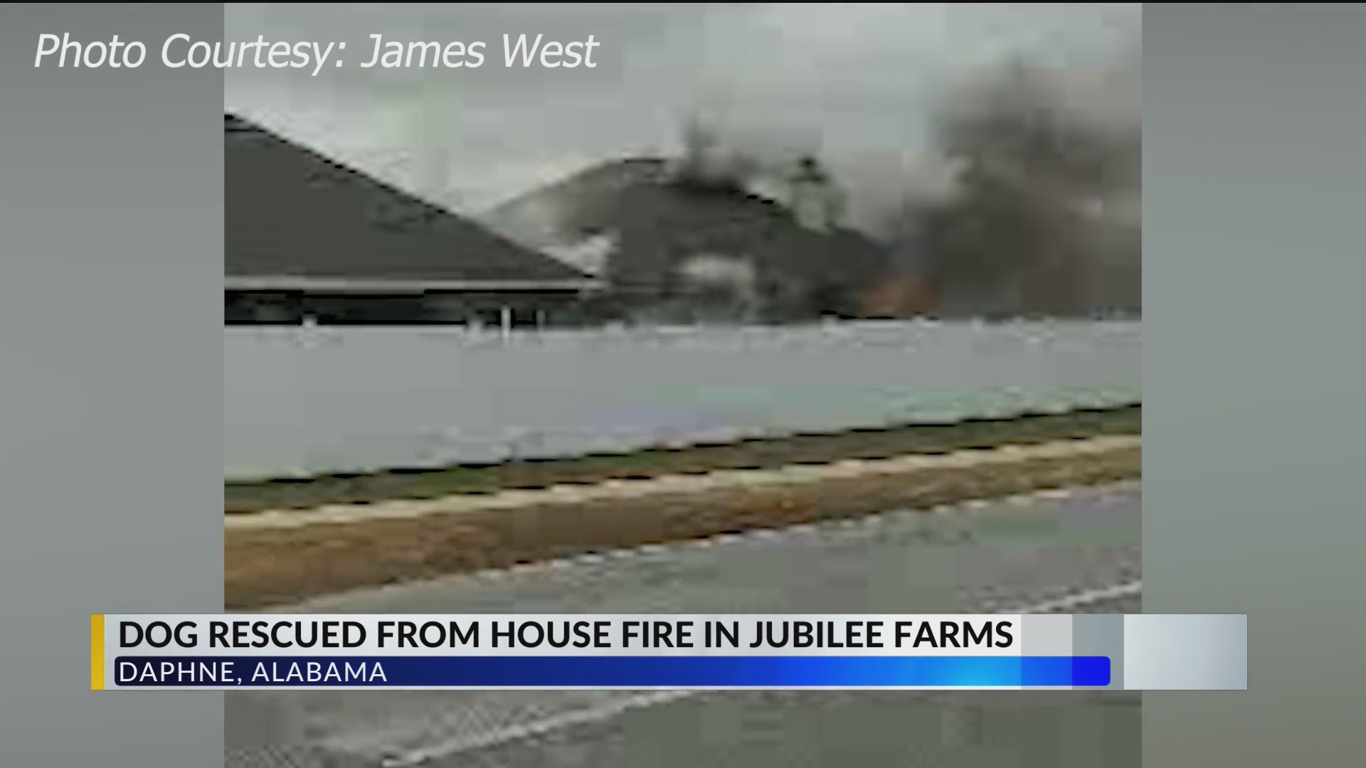 Daphne house fire sends dog to emergency vet WKRG News 5