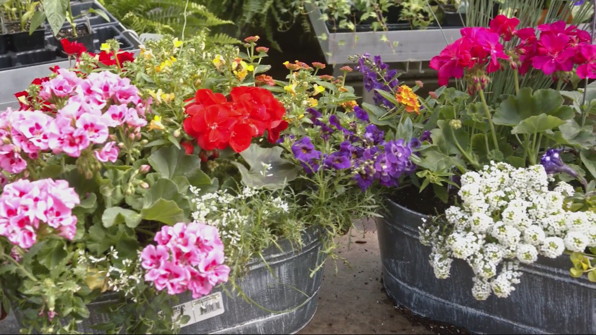 Flower arranging tips with Ropp’s Flower Factory