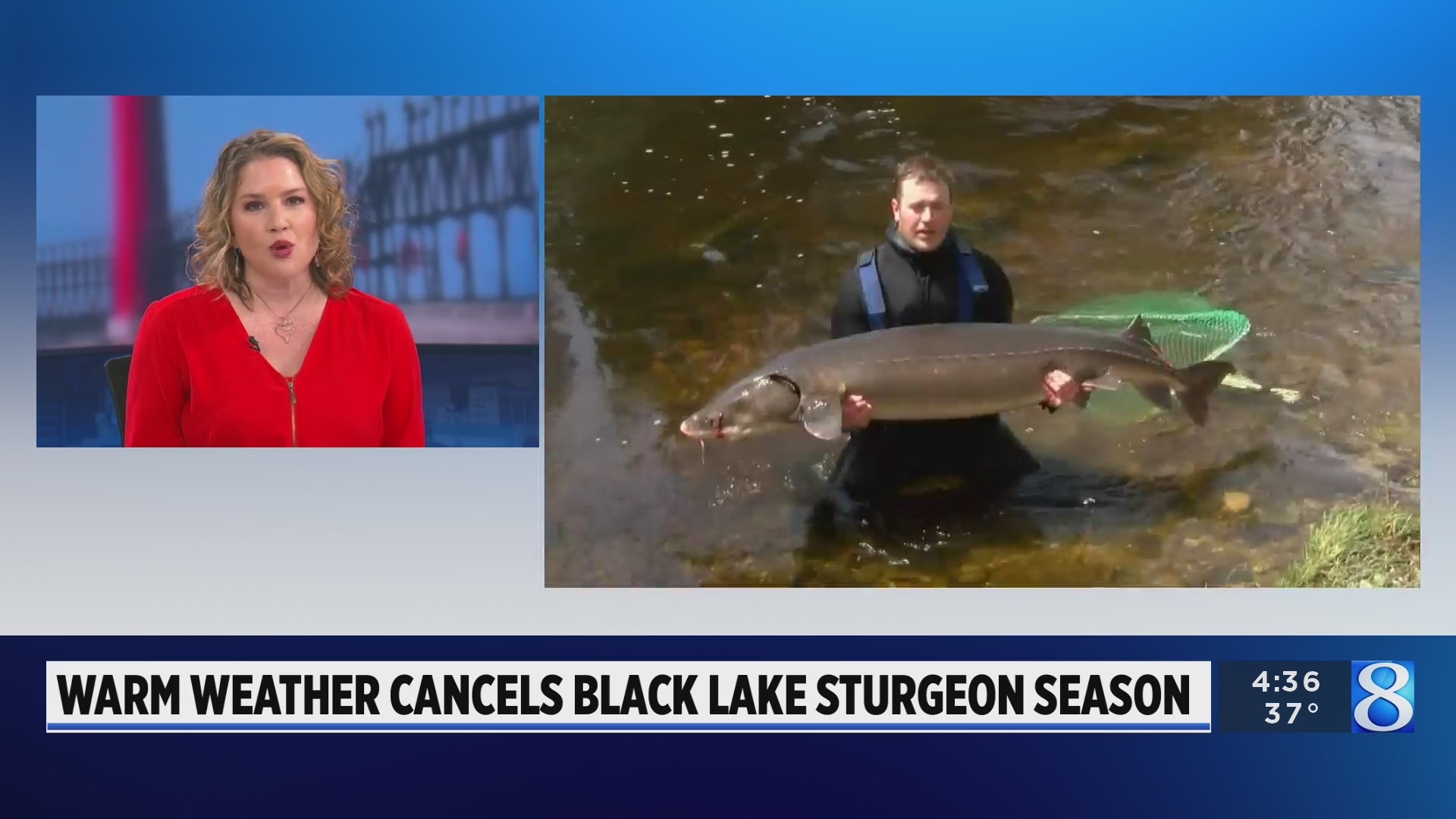 Warm weather cancels Black Lake sturgeon season