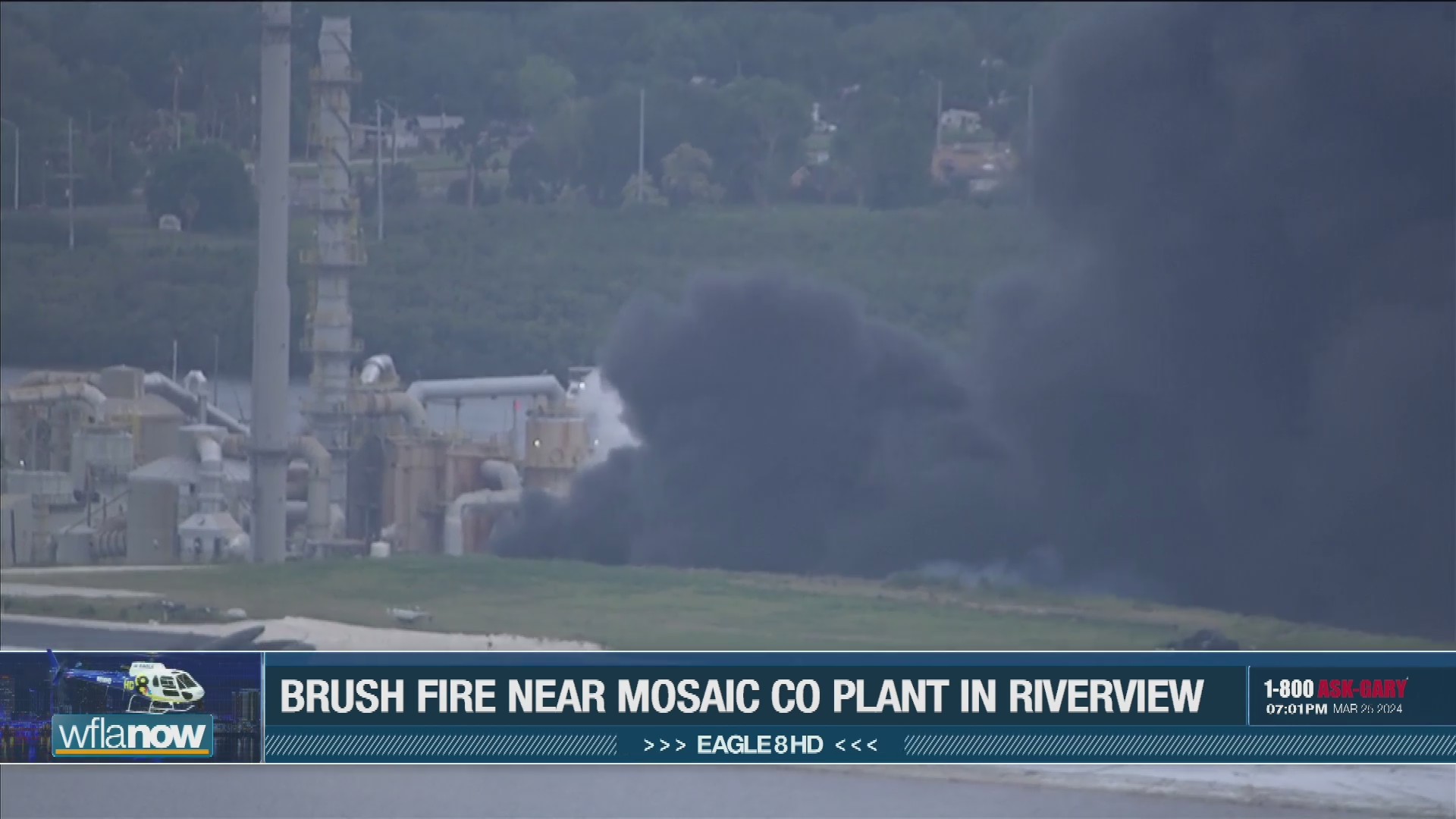 Large brush fire breaks out at Mosaic Company plant in Riverview – WFLA