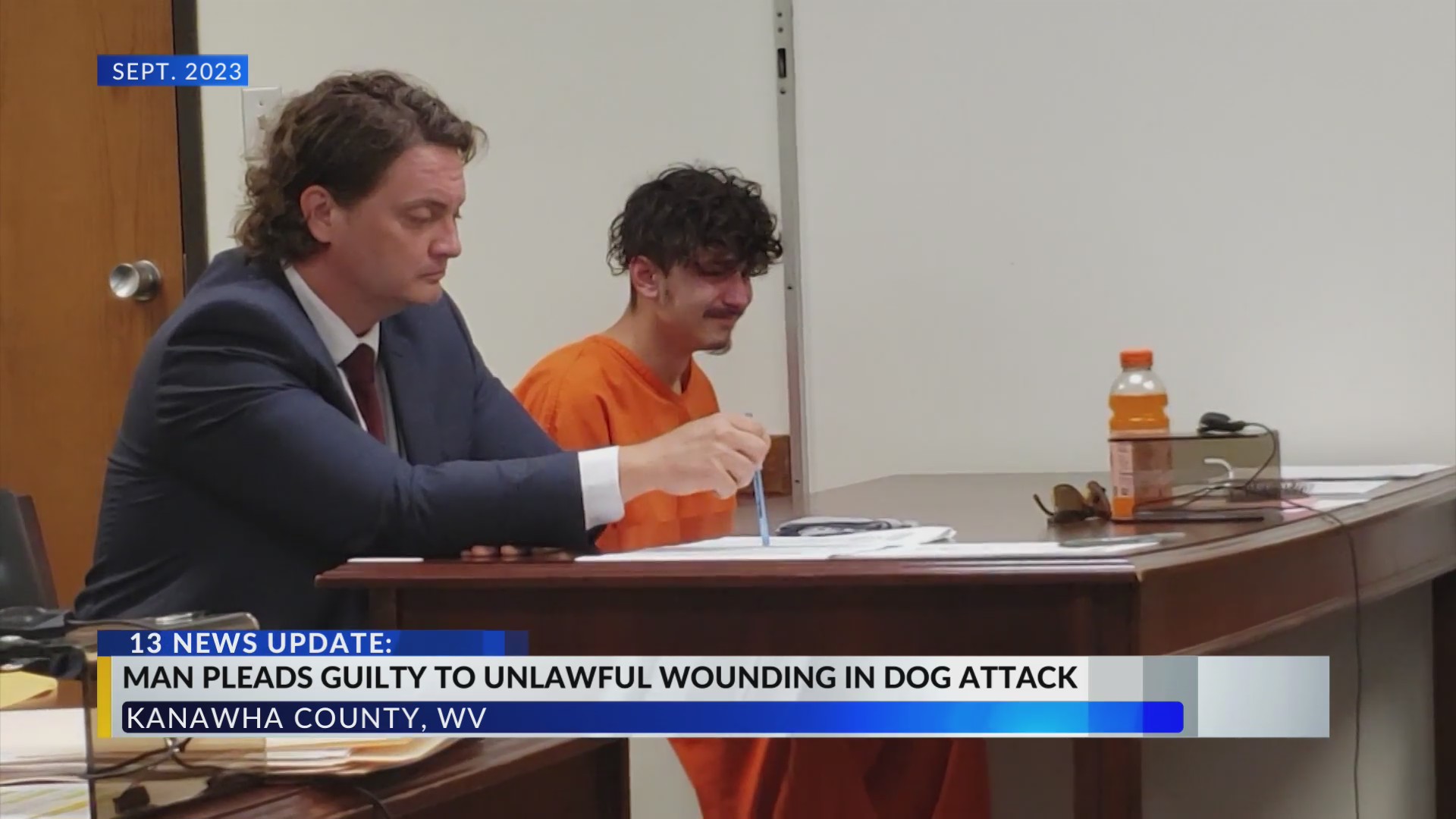 Man pleads guilty in Kanawha County dog attack – WOWK 13 News