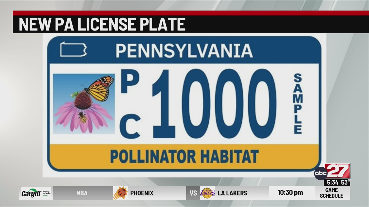 New Pennsylvania license plates to help bees, butterfly habitats
