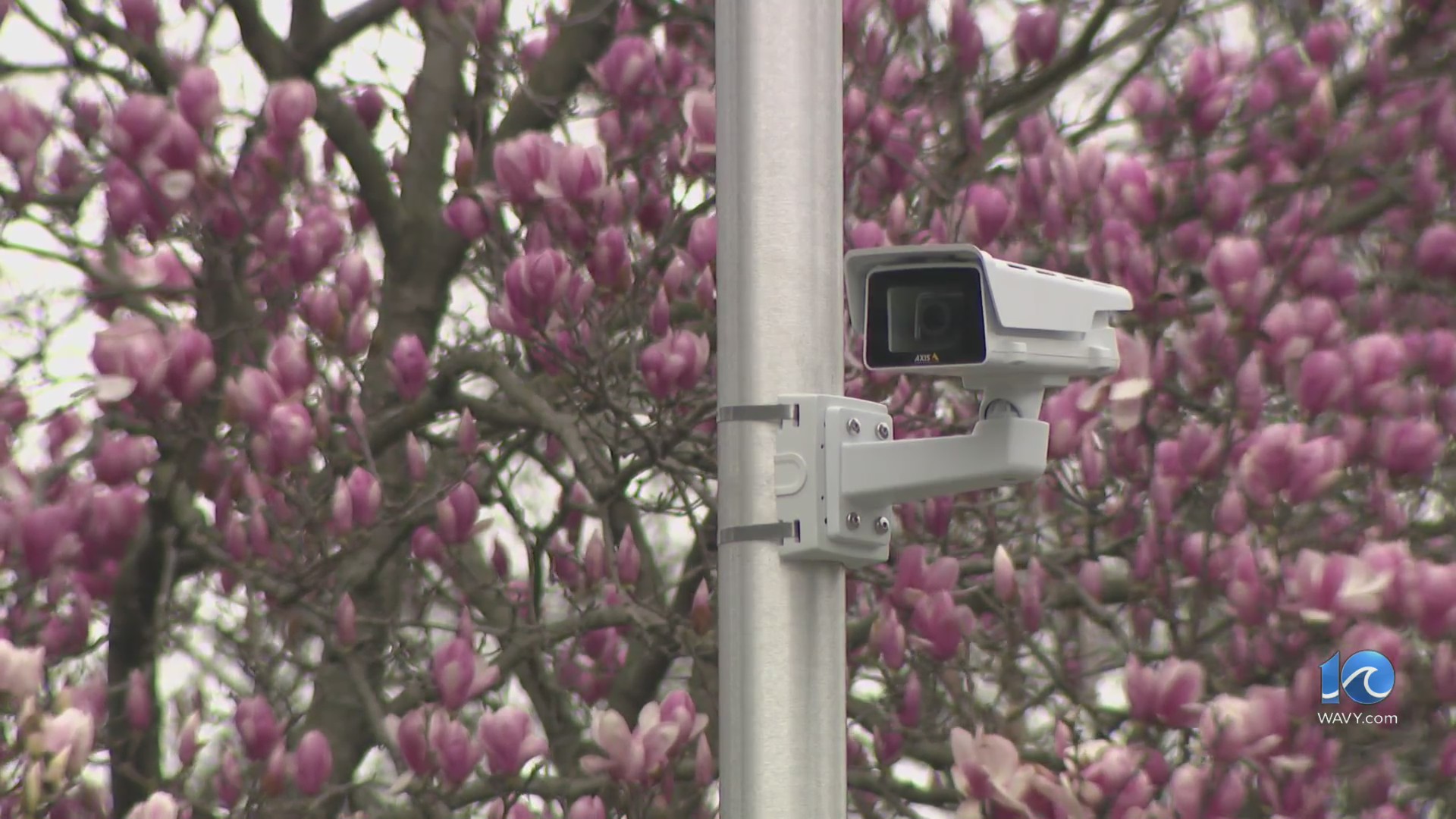 Norfolk starting school zone camera enforcement with 19 cameras – WAVY.com