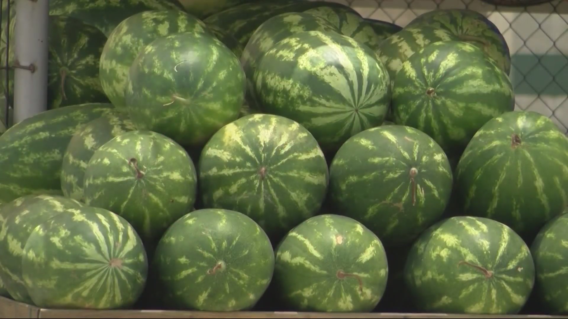 Good year for Watermelon Day! Stanhope celebrates train depot