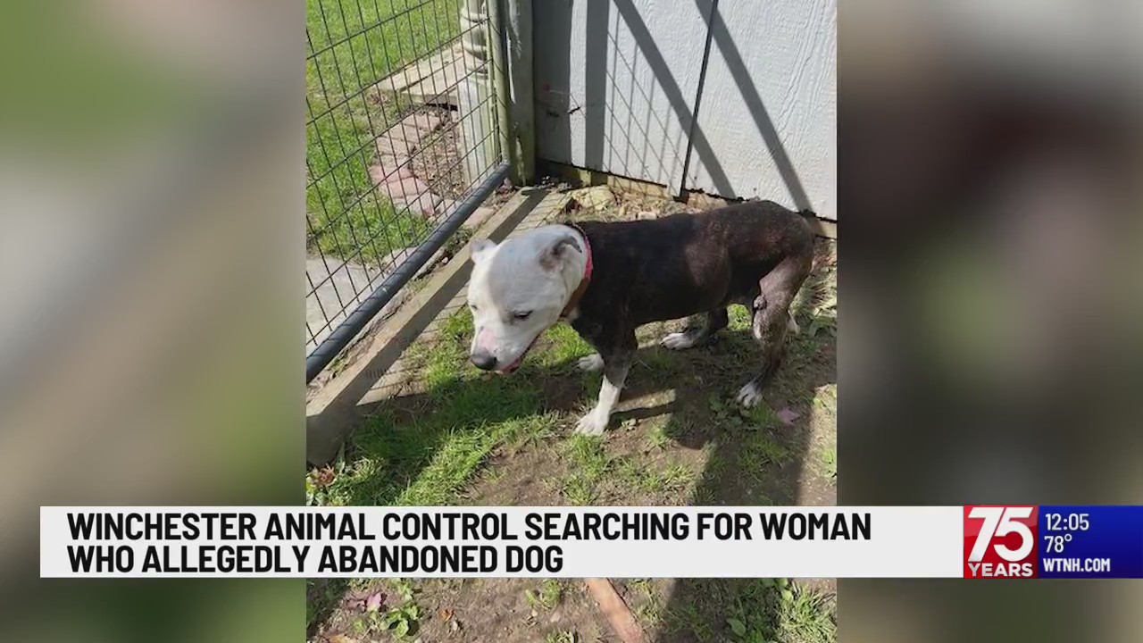 Winchester Animal Control search for woman who allegedly abandoned dog